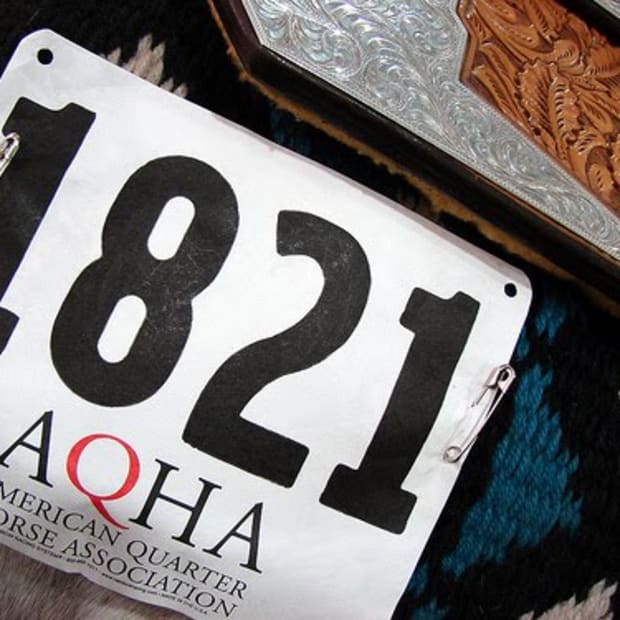 FLK-cc-Sarowen-AQHA-3020249333_b5e0babc48-lr-730385