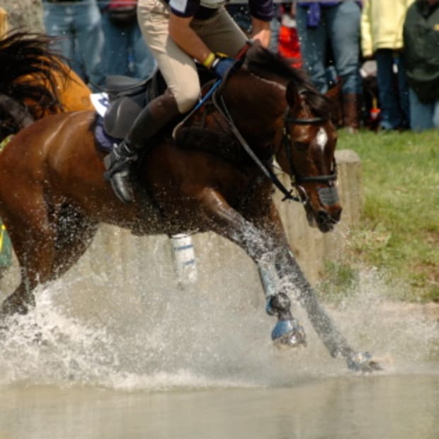Fredericks Wins Rolex! "New American" Second! Pony Third! promo image