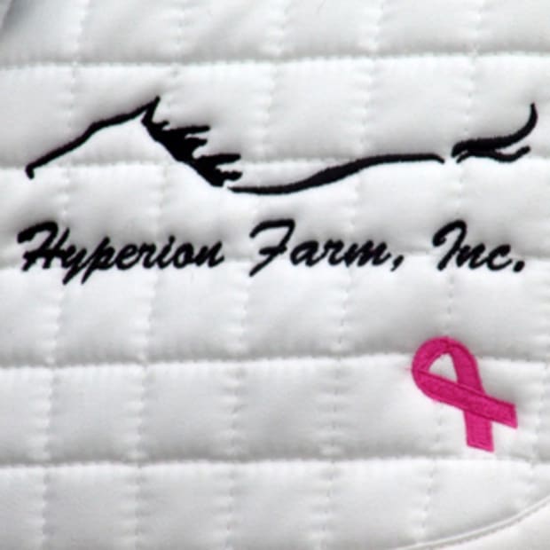 From One Champion to Another: Street Sense Sends Good Luck Roses to Sagacious HF at Pan Am Games promo image