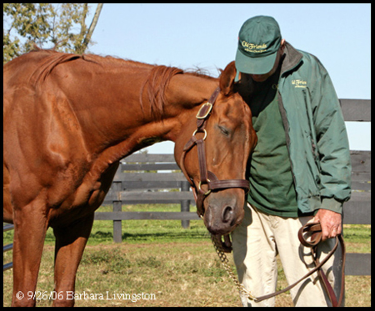 Gentle Death at the Sanctuary: Eclipse Award Recognizes Poignant Portrayal of Euthanasia of a Great Racehorse promo image