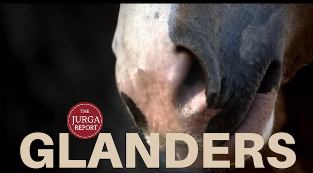 GLANDERS The Jurga Report Texas
