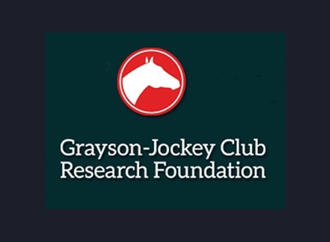 grayson logo 2