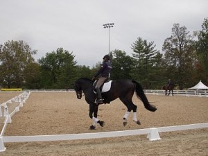 Greetings from WEG: Totilas and Ravel Meet in Dressage Competition for the First Time Today promo image
