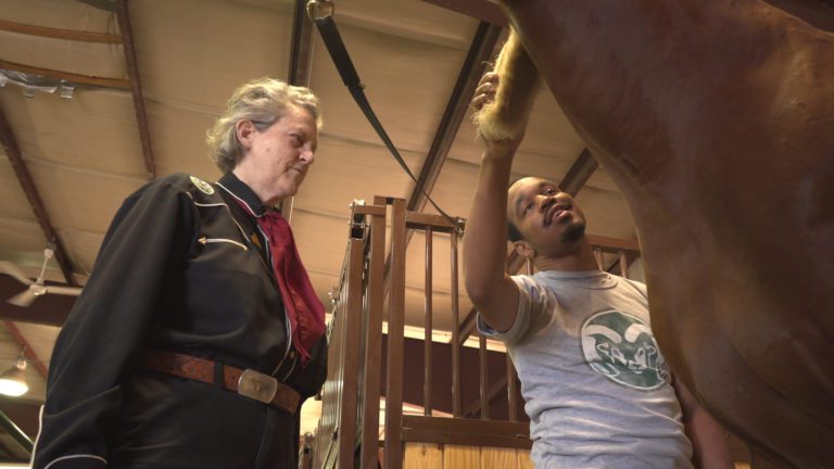 Temple Grandin with a man grooming a horse