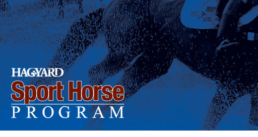 Hagyard Sport Horse Program Sponsors Young Event Horse In-Hand Symposium promo image