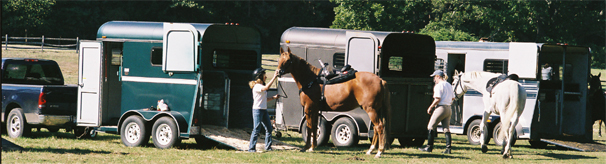 Hauling Horses Across State Lines? Check for New Regulations, State by State promo image