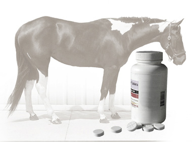 a photo illustration of a bottle of bute with horse in the background
