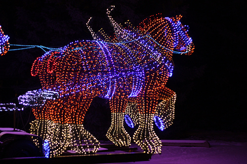 Holiday Horses Light Up the Night Sky promo image