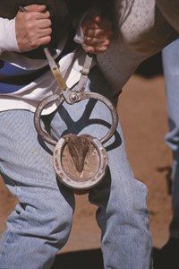 hoof testing