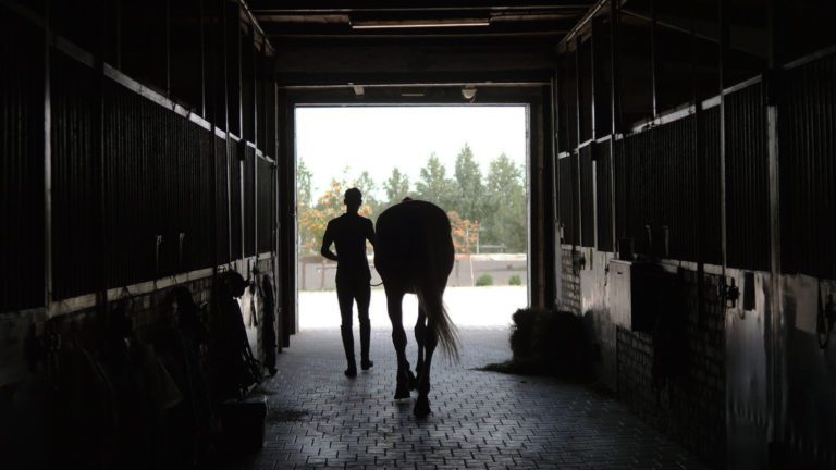 A person leading a horse down a barn aisle