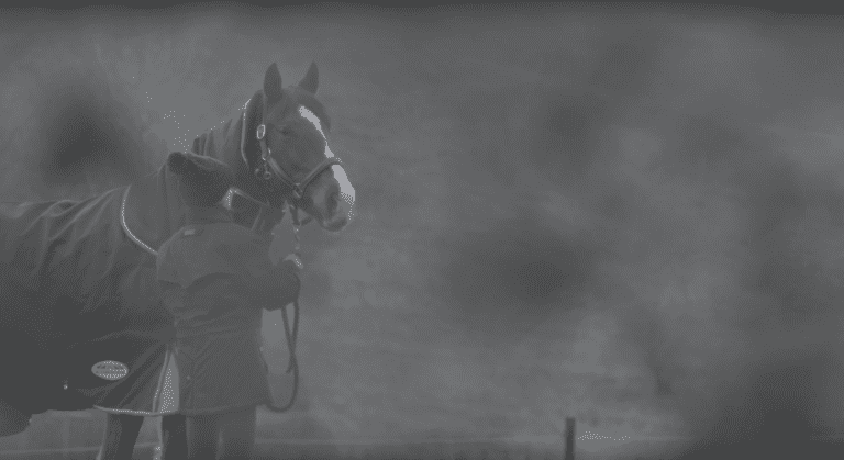Horse-Blanketing-FAQs