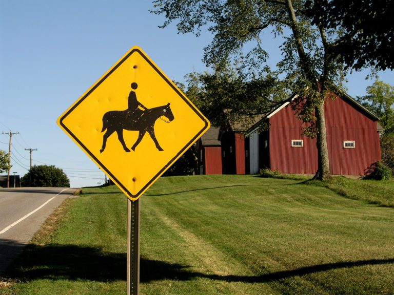 horse crossing sign
