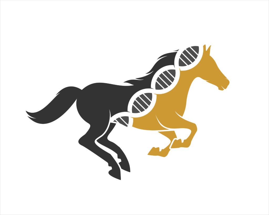 Illustration of a horse with a DNA strand running through it
