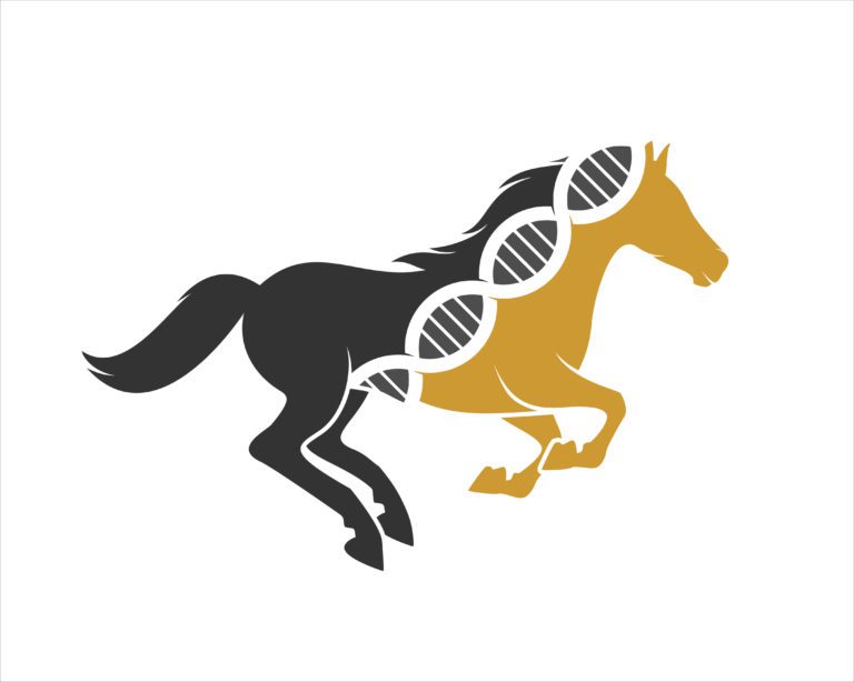 Illustration of a horse with a DNA strand running through it