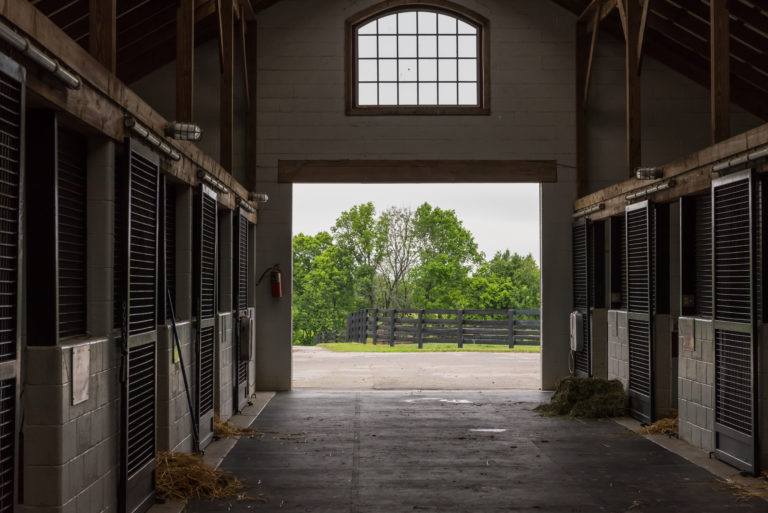 horse-farm