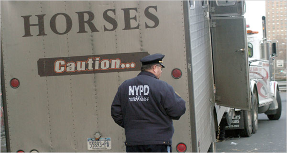 Horse Hauler's Nightmare in New York City promo image