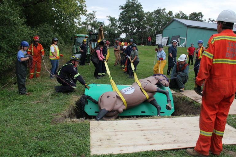 horse rescue clinic