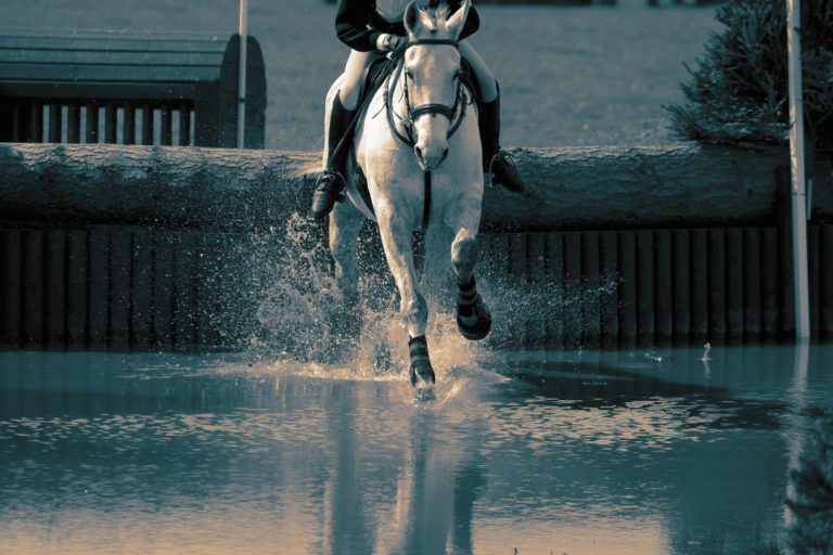 horse water jump