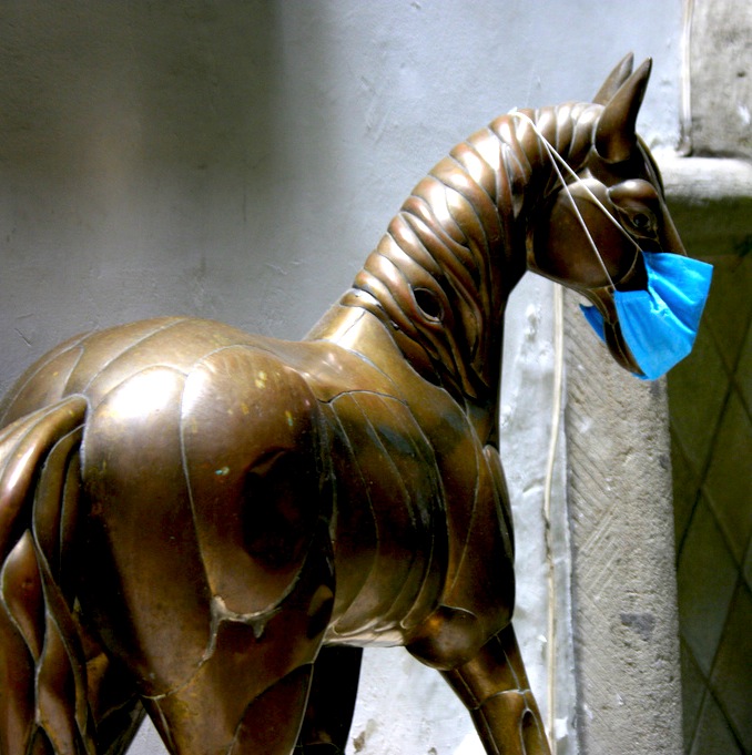 Horse with surgical mask