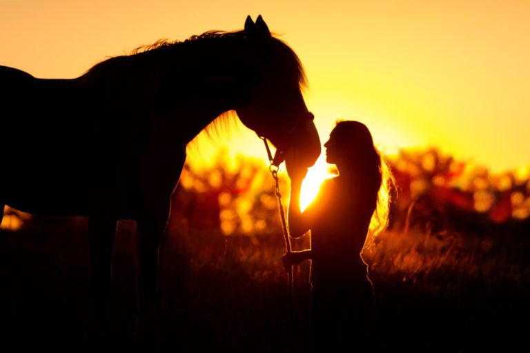 horse woman sunset