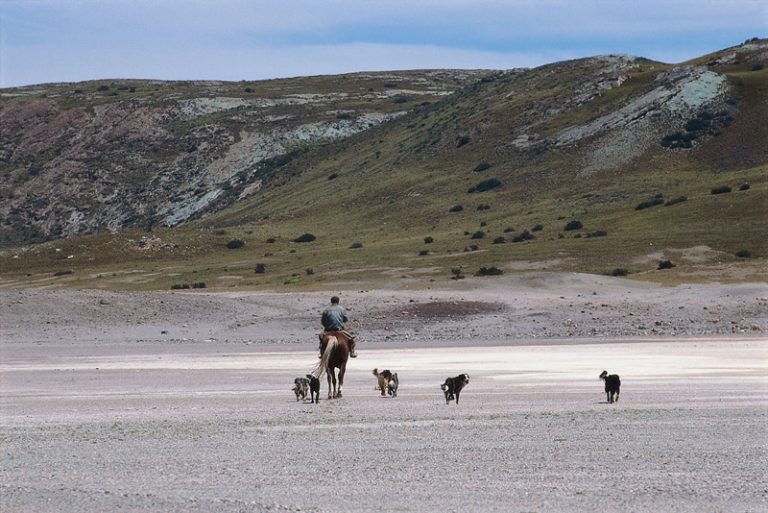 How Dry We Are: What's "Desertification" and Why Should You Care? promo image