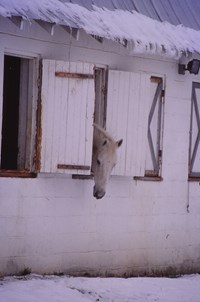 IMG_20140829_0044