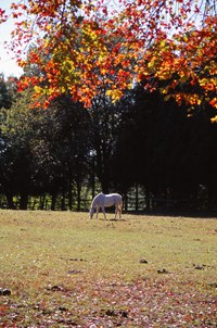 img_20141006_0003