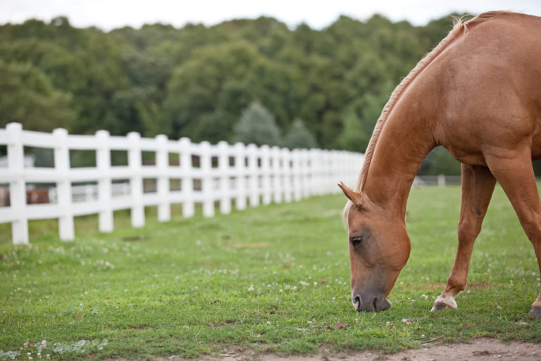 iStock-471473623