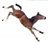 jumping-foal-713469