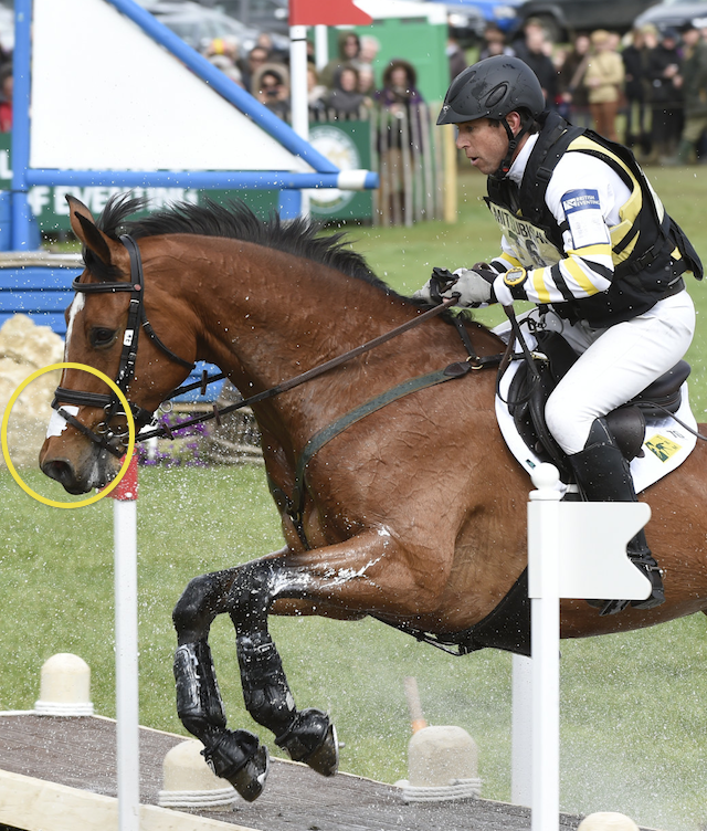Kit Houghton photo via FEI