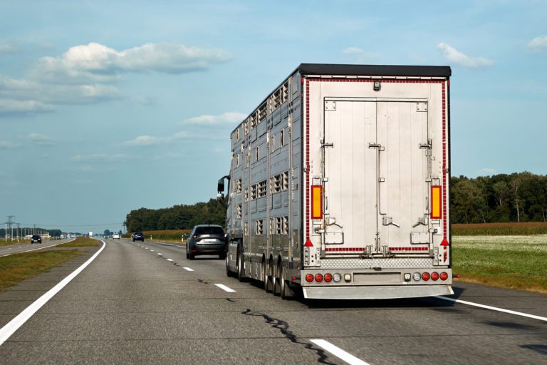 livestock trailer