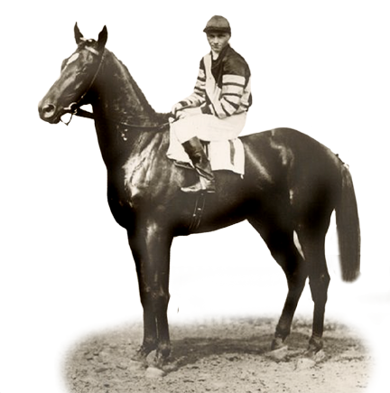 man o war wiki
