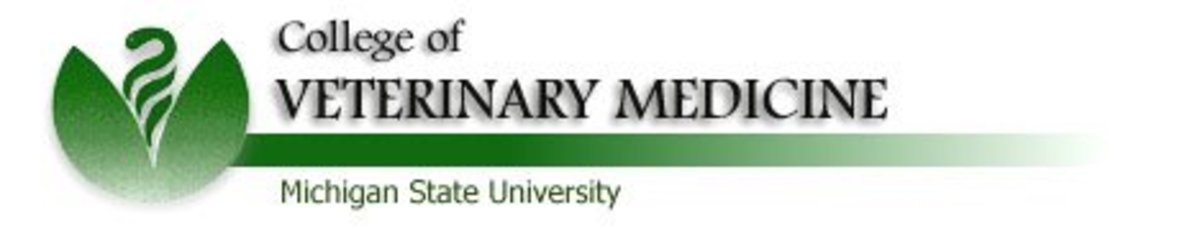 Michigan State University Posts Seminar "Slide Shows" on Web Site promo image
