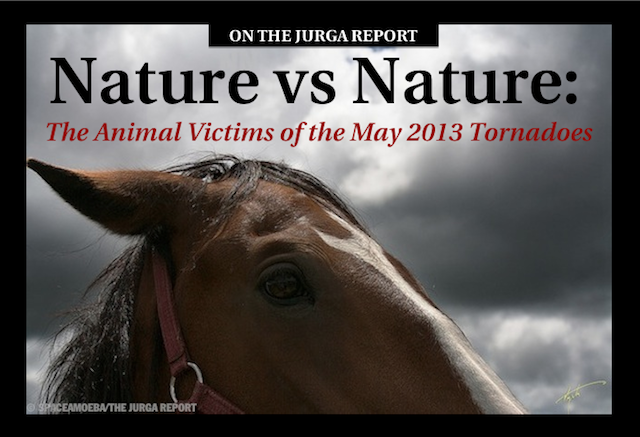 nature vs nature animal victims may 2013 tornadoes oklahoma jurga report