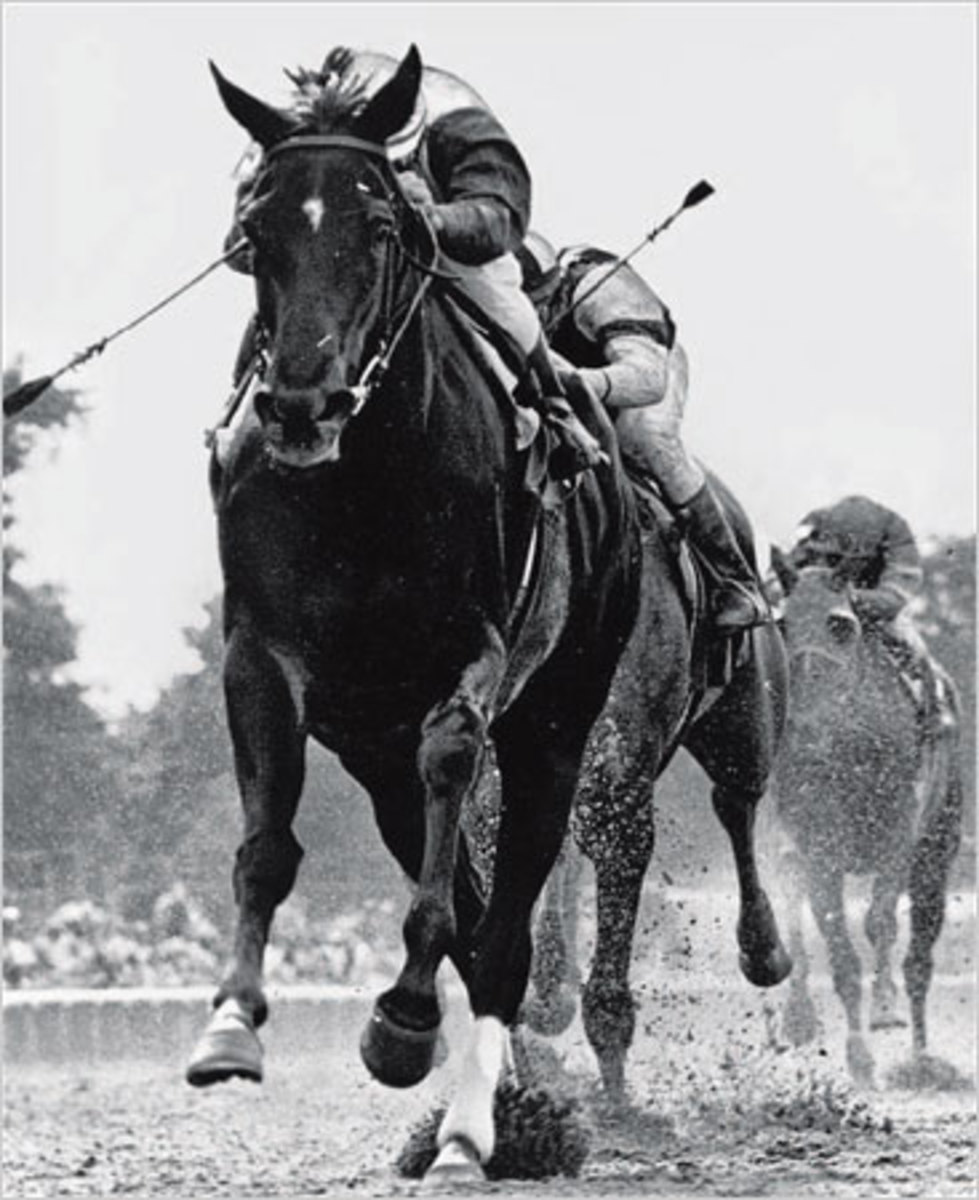 New Equine Hospital Will Be Named for Champion Ruffian promo image