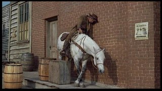 New Year's Eve in Montana: State Promotes Equine Designated Drivers in Commercial promo image