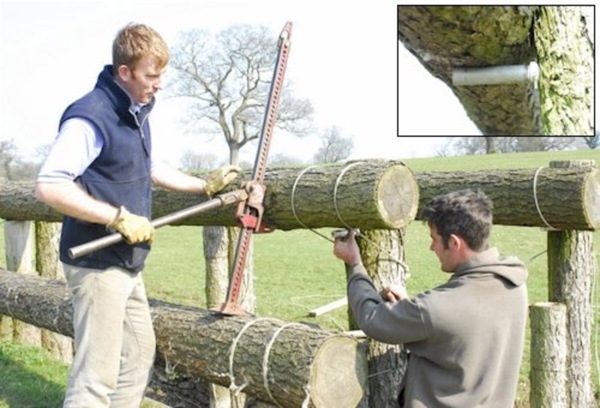 NY Times Article Shines Spotlight on Eventing Safety Issues; Rolex Kentucky Event Defends Course Design, Frangible Pin Use promo image