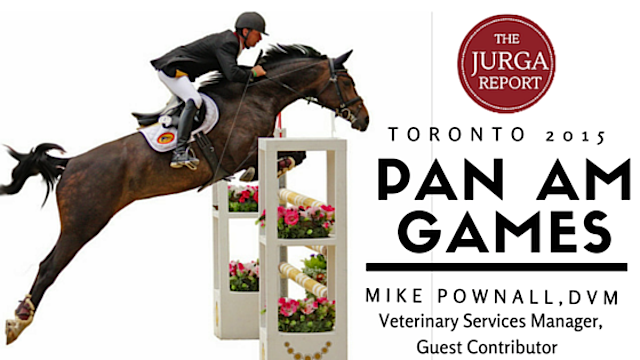 Pan Am Games Veterinarians with Mike Pownall, DVM