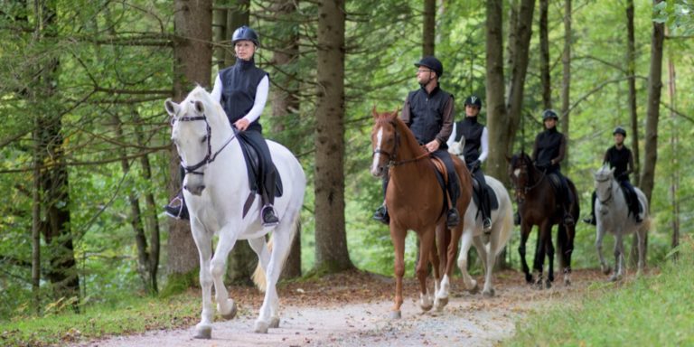 A group of riders on a trail ride in the woods