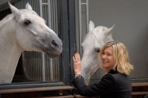 Pink Lipizzaners? Breast Cancer Awareness Tour Comes to Spanish Riding School in Vienna, Austria promo image