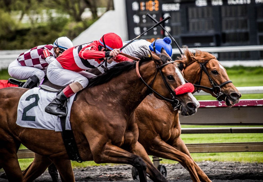 A group of racehorses in the home stretch