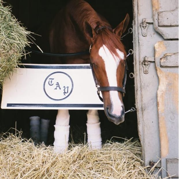 Rags to Riches Retired; 2007 Belmont Winner Reinjured Pastern promo image