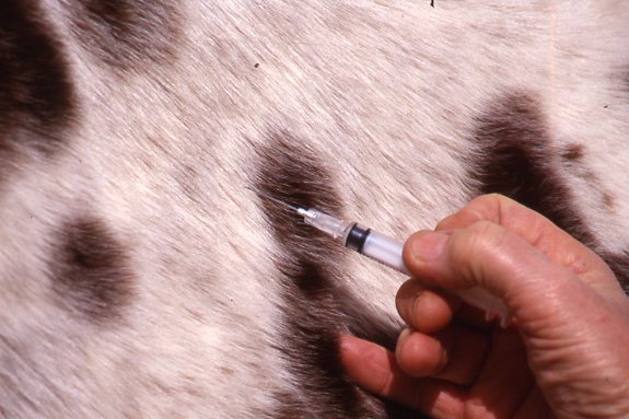 Reducing the Risk of Injection-Related Infections promo image