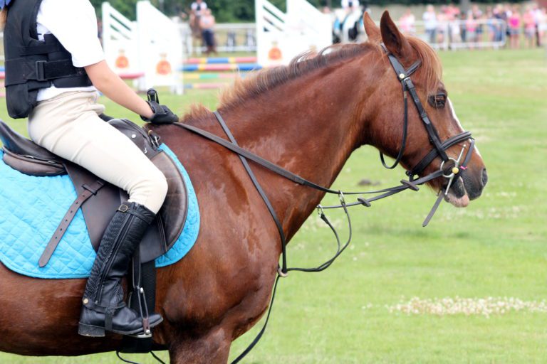 A horse with pinned ears standing with a rider mounted.