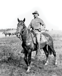 Roosevelt