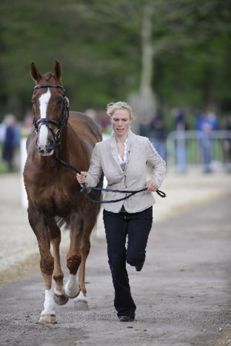 Royalty Rides On: Badminton Horse Trials Begin Today promo image