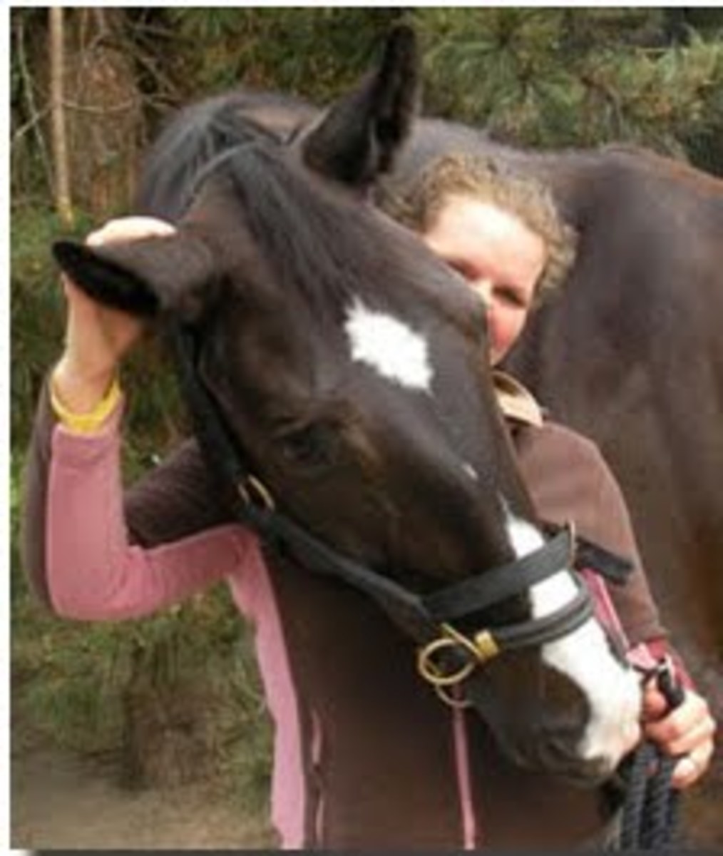 salinerowillekewindsoranky