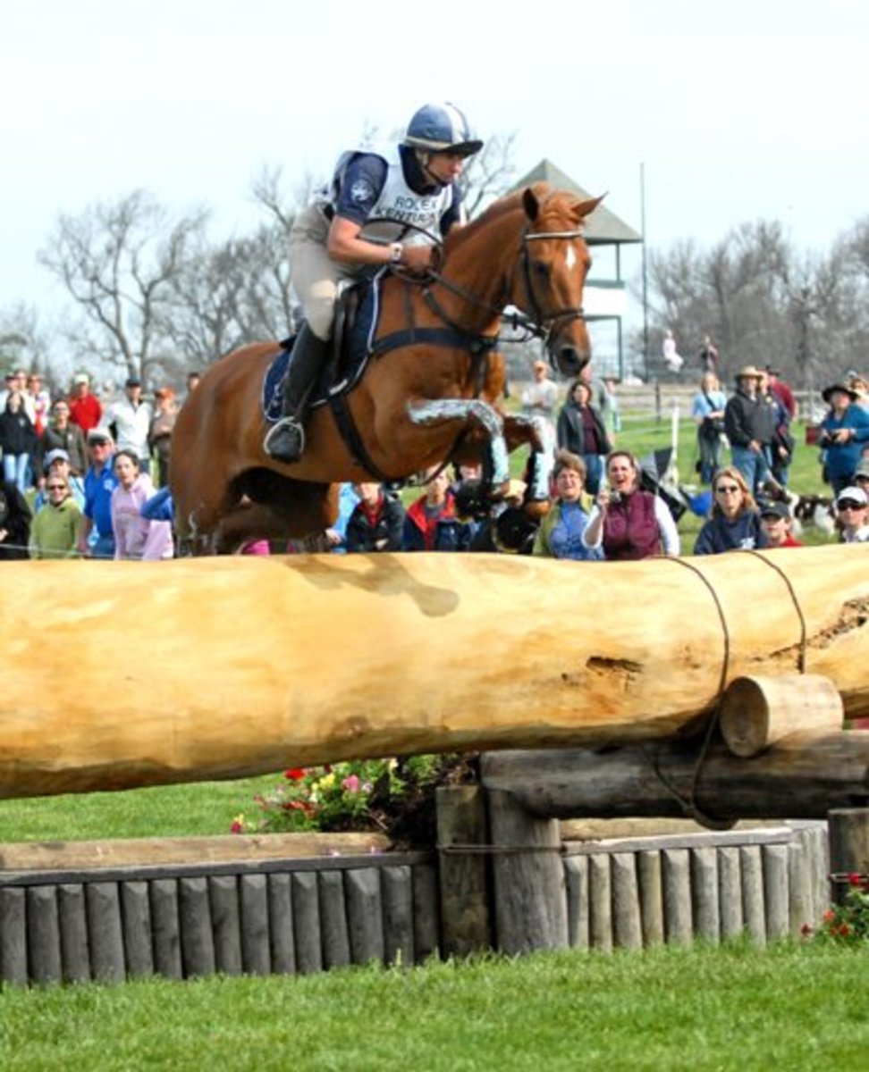 Say It Isn't So: "Teddy", America's Favorite Sport Horse and Top Olympic Prospect, Has Died promo image