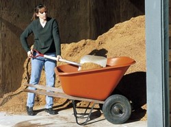 shavings