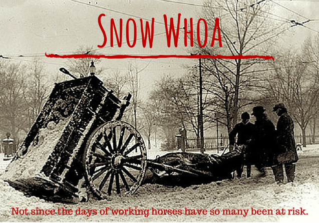 Snow Whoa